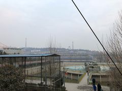 -五龙山野生动物王国
