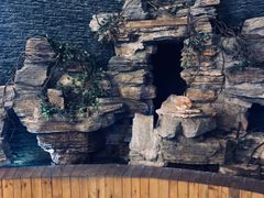 -明日世界密室轰趴·剧本桌游·箭馆团建(国贸店)