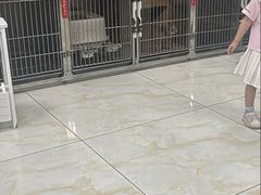 -莘程宠物医院(金山店)