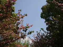 -双拥公园