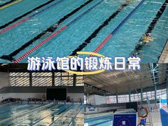 -南山文体中心-游泳馆