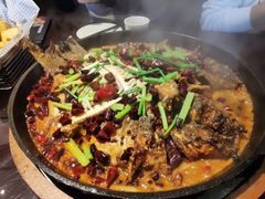 老板恋上鱼-老板恋上鱼(环山路店)