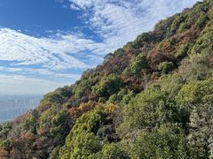 -杭州半山国家森林公园