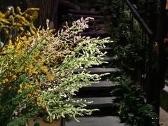 -范设计花园餐酒咖·中西餐·咖啡厅·酒馆