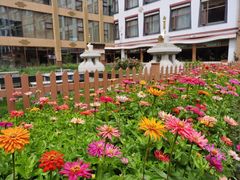 -思金拉措庄园藏餐(太阳岛店)