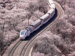 -居庸关长城