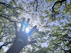 -终南山南五台景区