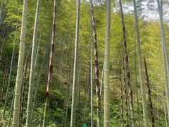 -雅达·阳羡溪山小镇中心