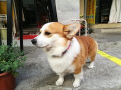 -小梁哥云吞面(黄贝岭店)
