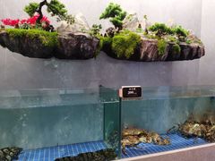 水产区-外滩·云南人家(昆明旗舰店)