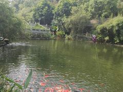 -晓港公园