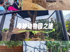 -武汉动物园