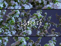 -济南恒隆广场