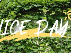 -宁波市保国寺古建筑博物馆