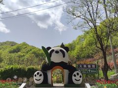 -栾川竹海野生动物园