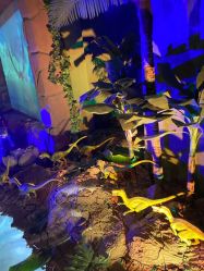 -恐龙探索乐园(磁器口店)