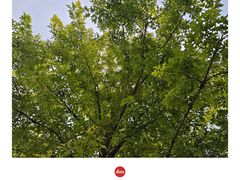 -青岛第三海水浴场