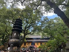 -普陀山风景名胜区-法雨禅寺