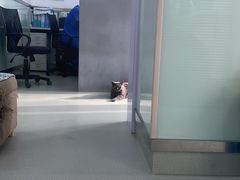 -美美宠物诊疗中心·异宠·骨科(滨江东信分院)