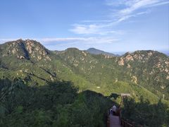 -大岭沟猕猴桃谷风景区
