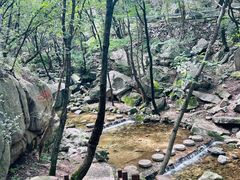 -洛阳花果山景区