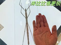 -上海昆虫博物馆