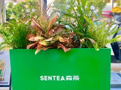 -SENTEA森茶(麦地丽日店)