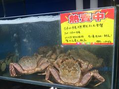 -蚝专家(北滘店)