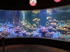 -北海·海洋之窗