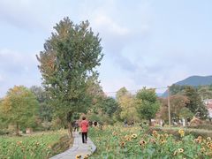 -塔川景区