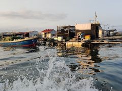 -蓝湾碧波·老字号·疍家非遗海上餐厅