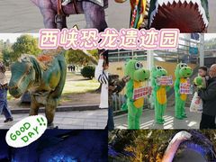 -中国西峡恐龙遗迹园
