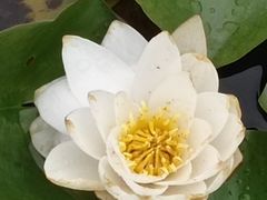 -江苏三台山国家森林公园