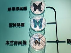 -蝴蝶泉公园