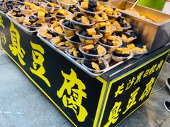 -人民防洪胜利纪念塔