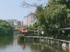-荔湾湖公园