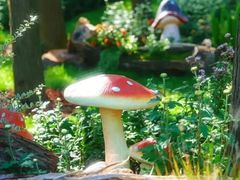 -共青国家森林公园-售票处