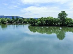 -尚湖风景区