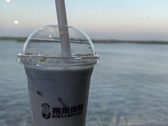 -抱抱地球咖啡馆(国家海洋博物馆店)