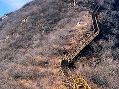 -大岭沟猕猴桃谷风景区