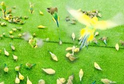 -萌宠亲子动物乐园(槐房万达店)