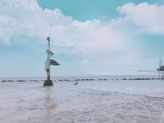 -南汇嘴观海公园