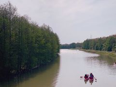 -上海海湾国家森林公园