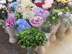 -双季花艺园艺市场(浦东店)