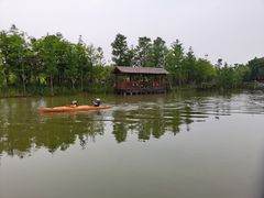 -上海长兴岛郊野公园