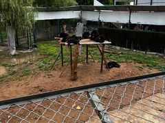 -五龙山野生动物王国
