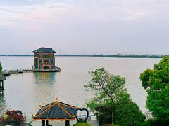 -同里湖度假村(二期店)