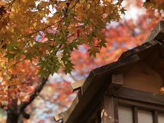 -常寂光寺