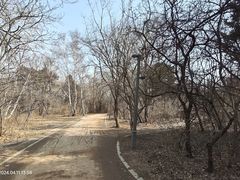 -长春市南湖公园