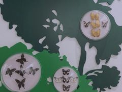 -房山世界地质公园博物馆